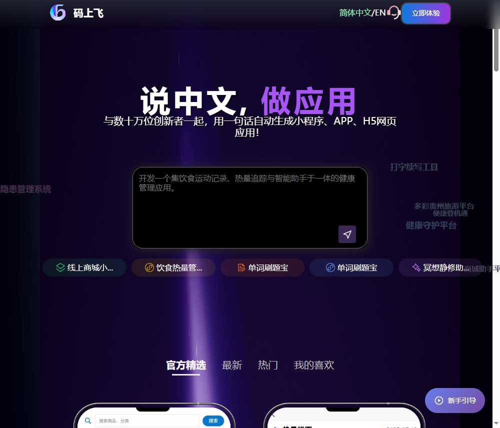 码上飞 网站截图
